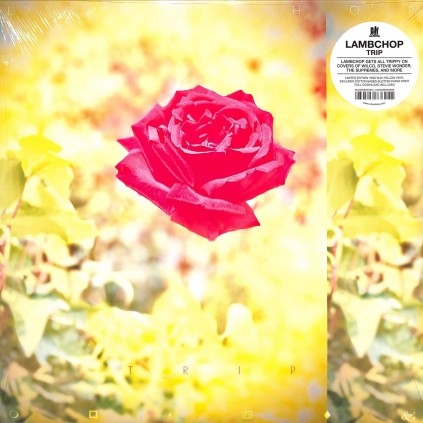 #4294 LP_02334