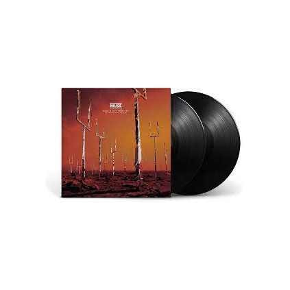 #4567 LP_02621
