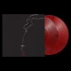 #6067 LP_03800