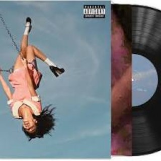 #6195 LP_03915