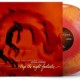 #6197 LP_03919