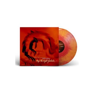 #6197 LP_03919